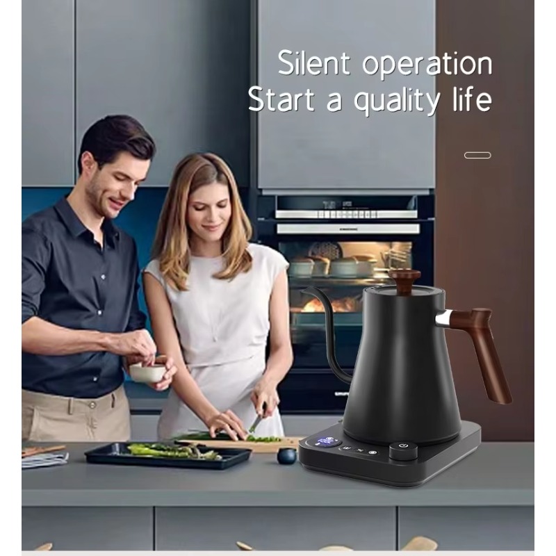 Nuovo Design Bollitore Elettri - Electric Kettle Temperature Control recensione e prezzo