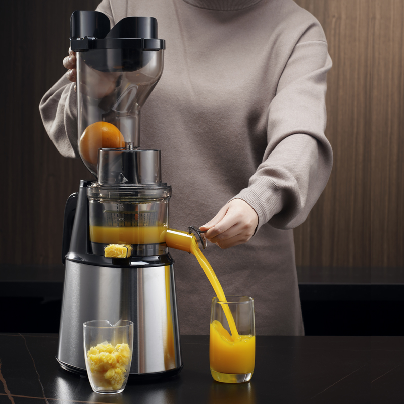 Estrattore di Succo Commercial - Electric Slow Juicer Cold Press recensione e prezzo