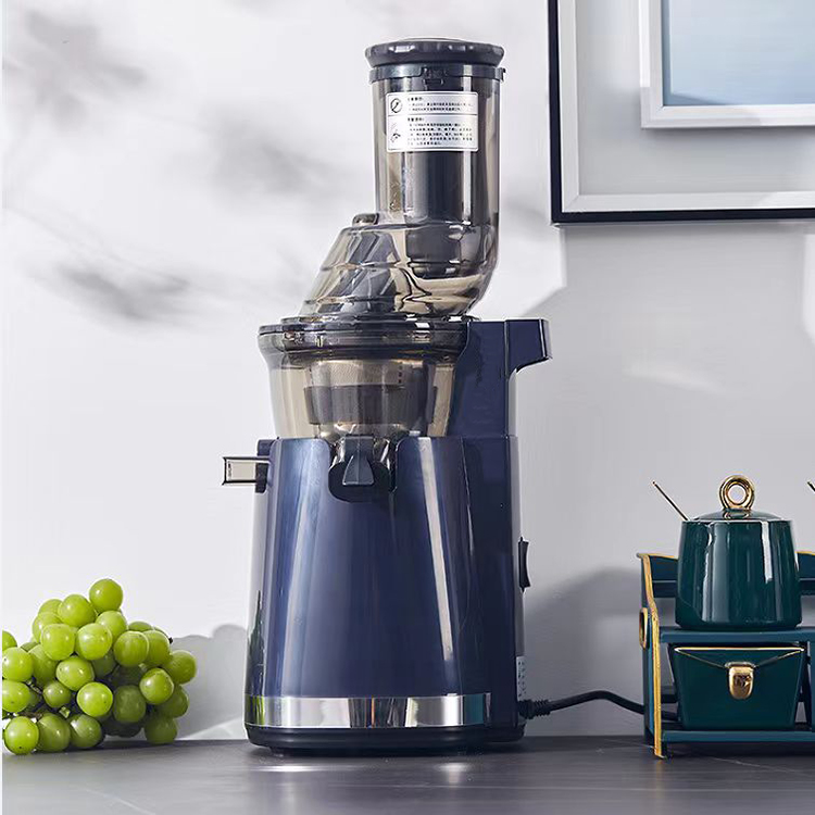 Estrattore di Succo Elettrico  - Electric Slow Juicer Cold Press recensione e prezzo